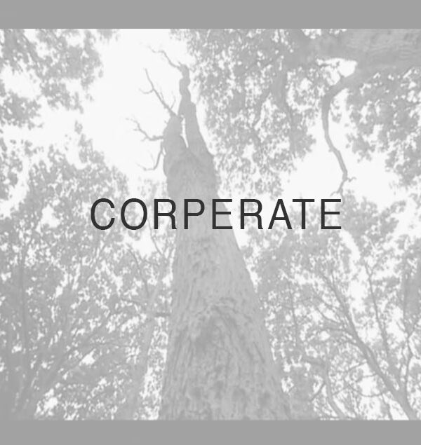 corporate